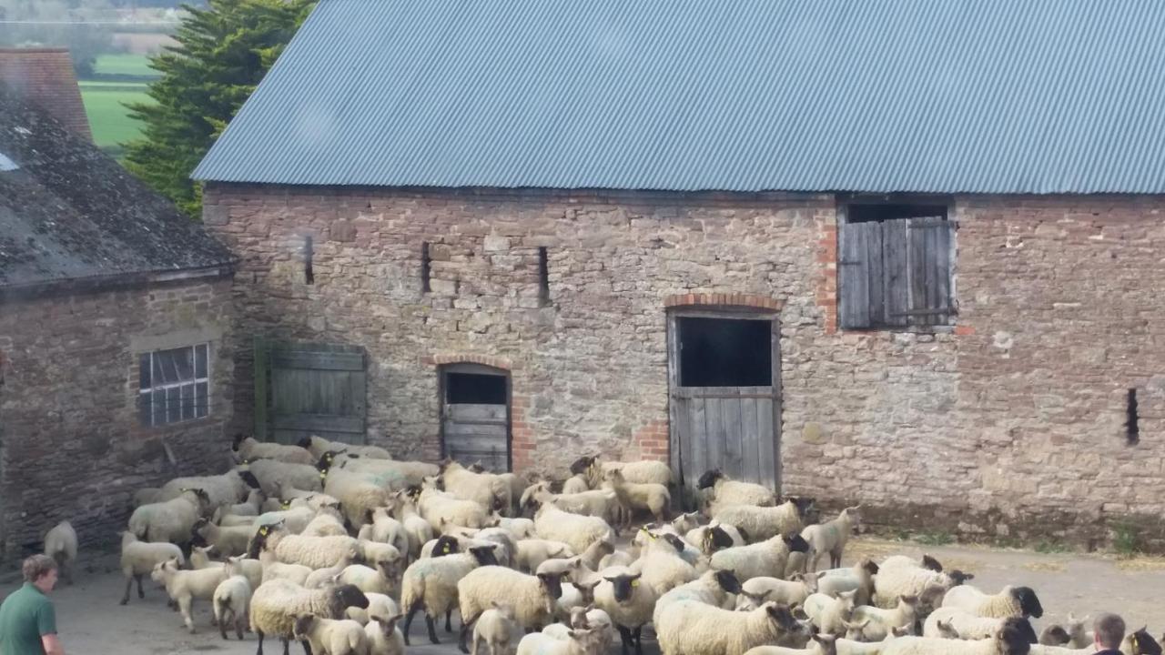 Upper Eyton Farmhouse B&B Alberbury Bagian luar foto