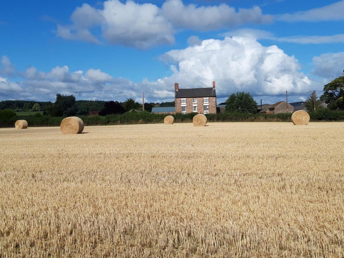 Upper Eyton Farmhouse B&B Alberbury Bagian luar foto